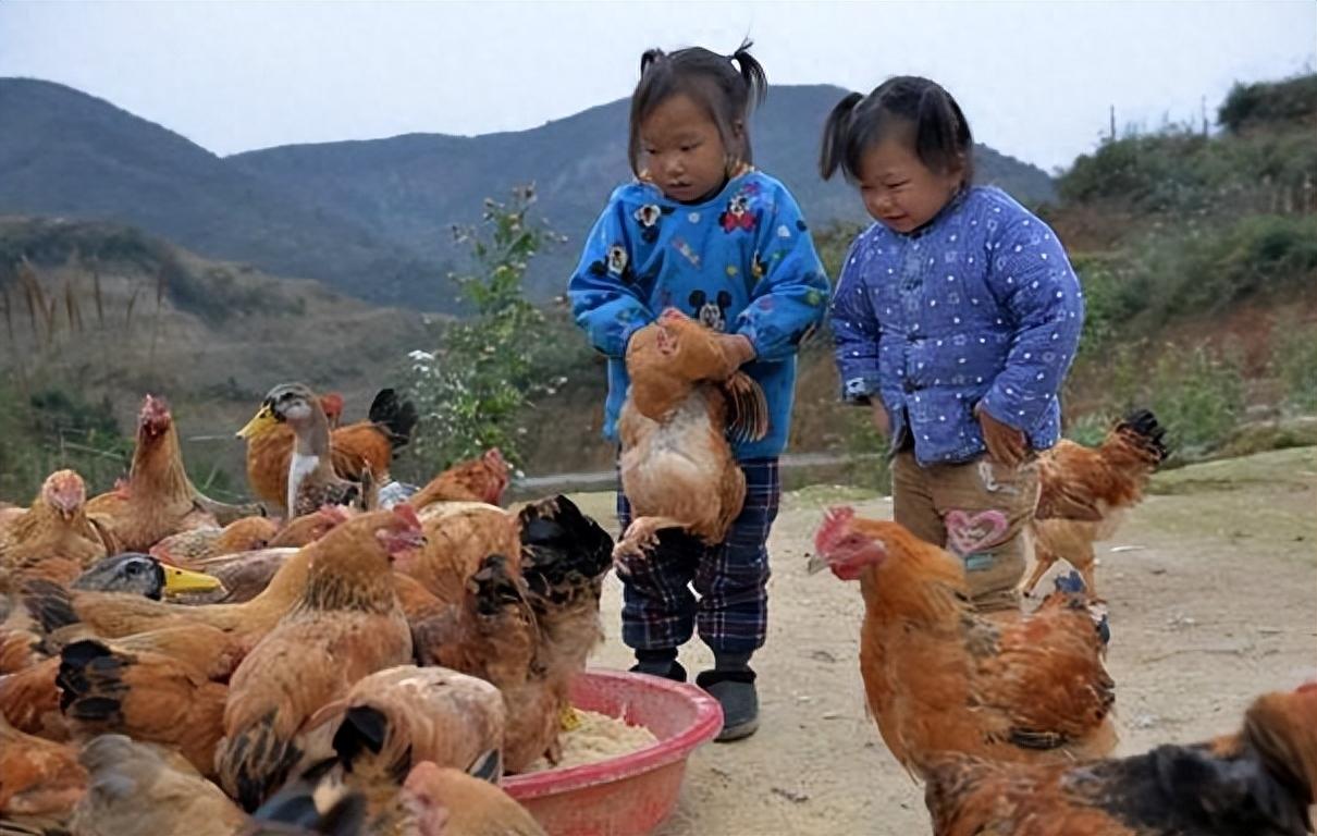 中国式养老之痛，空巢老人的挑战与应对
