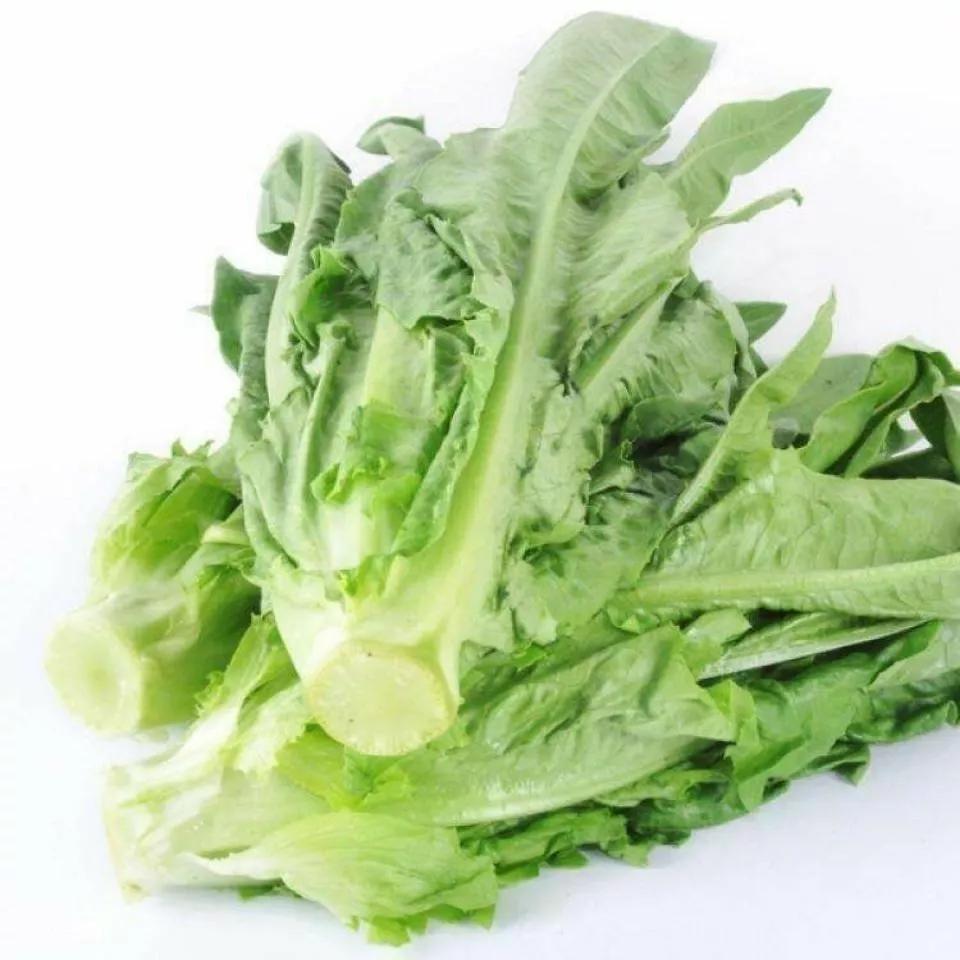 老年人营养需求与菜品的科学选择