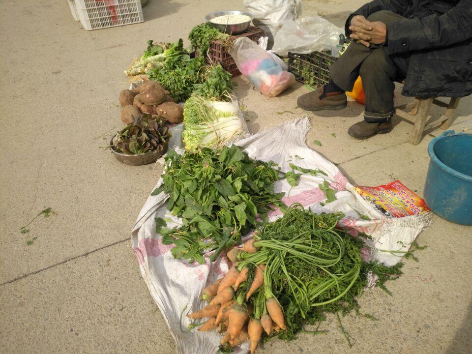老年人营养需求与菜品的科学选择