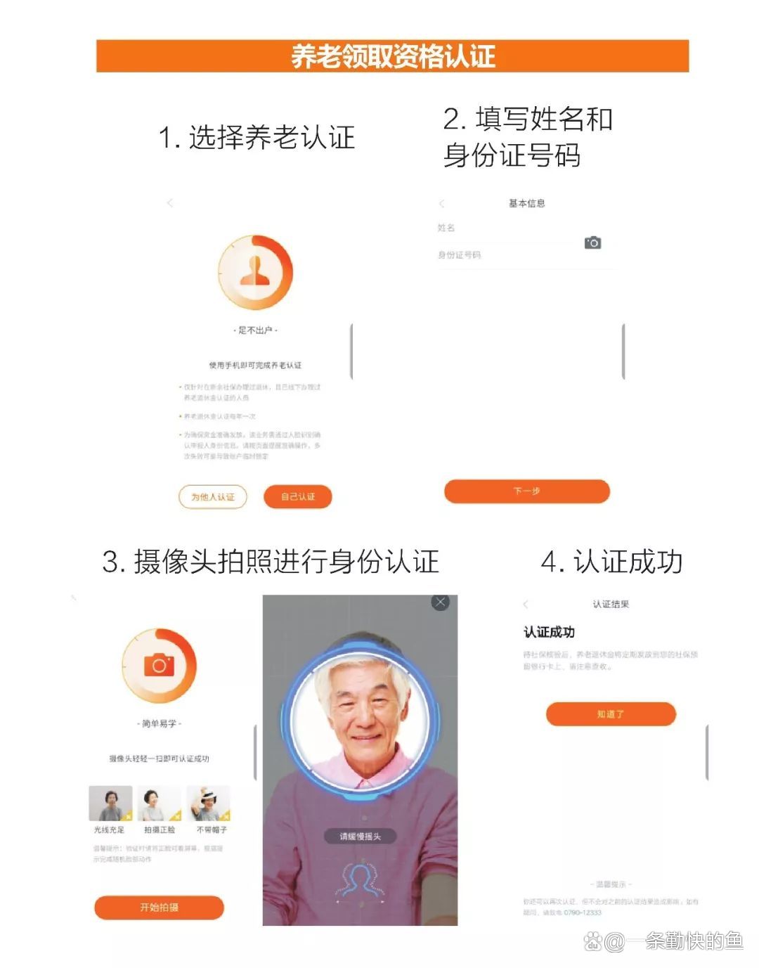 老年人养老金验证的重要性与操作指南解析