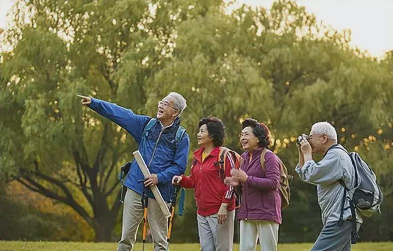 谁去养老年人数最多的地方——养老问题的深度探讨