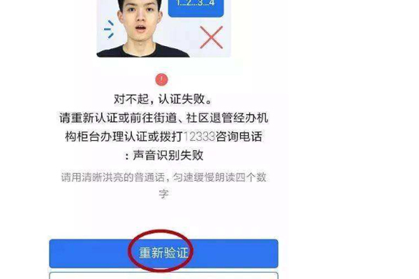 老年人养老金认证方案，保障养老金安全发放的智能化路径探索