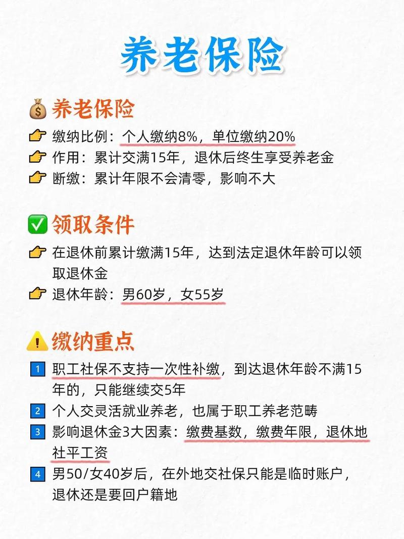 老年人适合的养老保险，保障未来，安享晚年