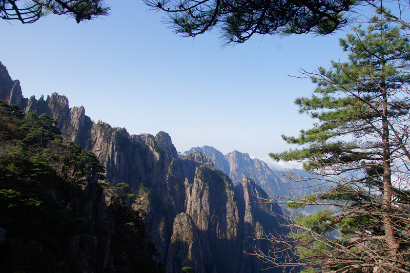 金色老年旅行社——黄山游，探寻千年古韵，领略自然之美