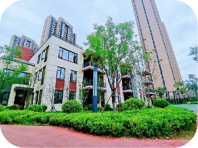 金色大讲堂，和谐社会之心灵启程 第十五集