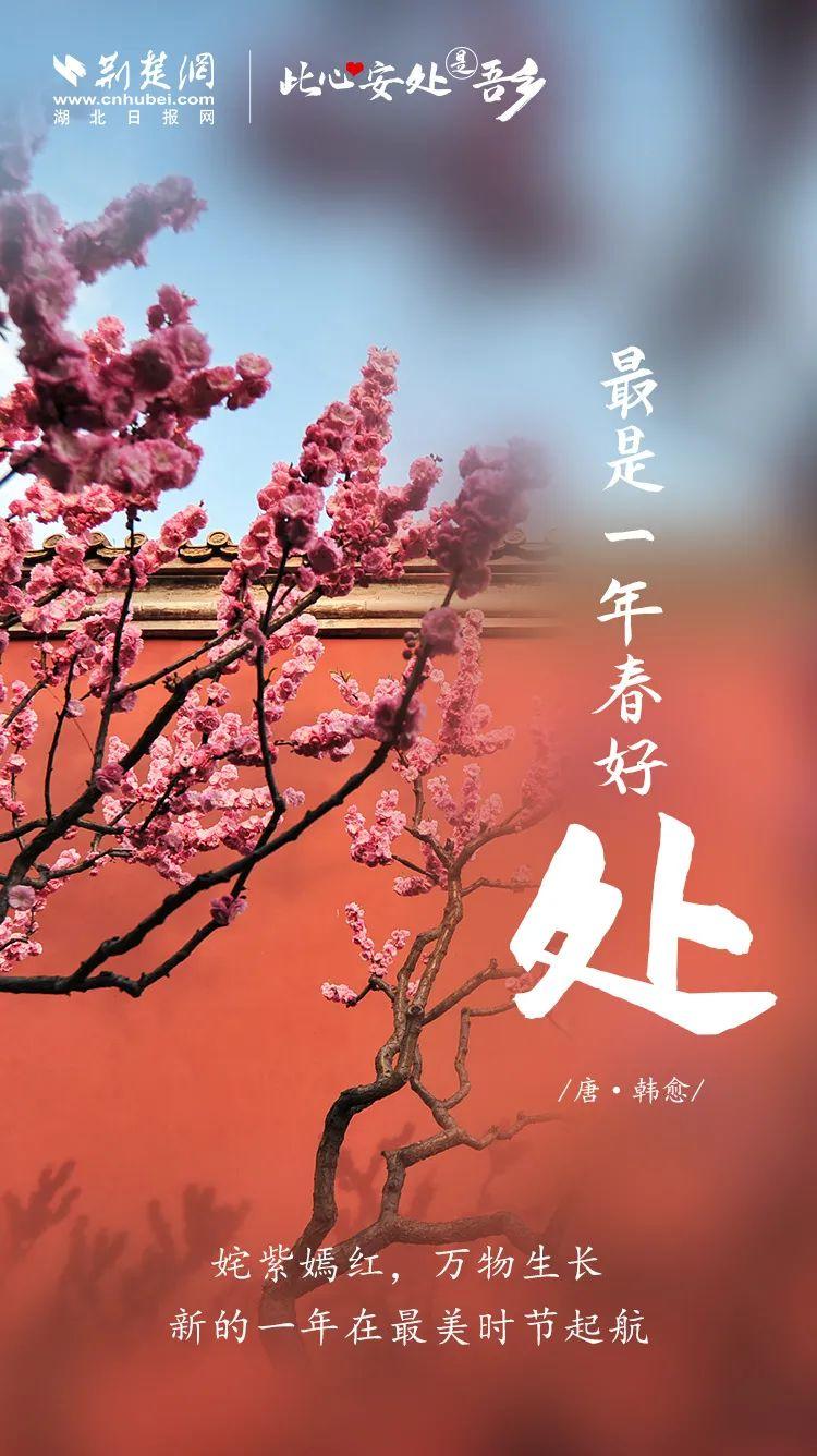 心安即是福地，探寻内心宁静与满足的奥秘