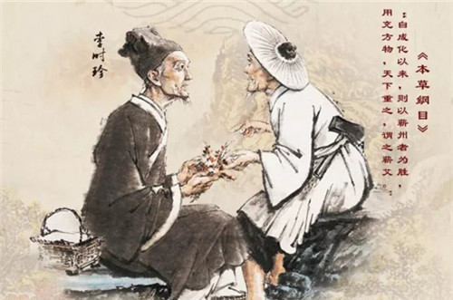 本草纲目与李时珍的传奇故事