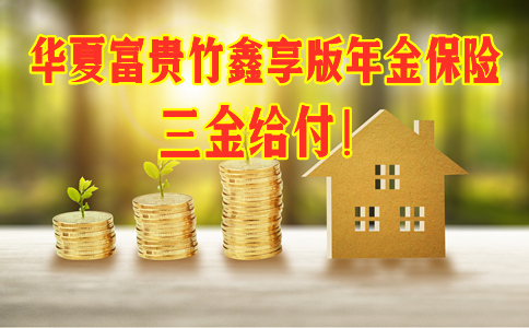 夏金管家养老年金保险，守护您的黄金岁月