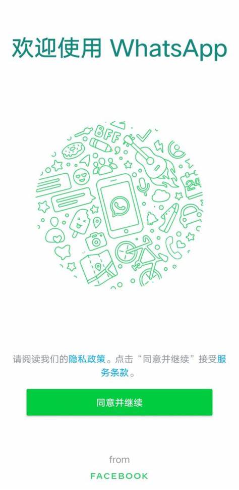 WhatsApp网页版，极速文件传输体验