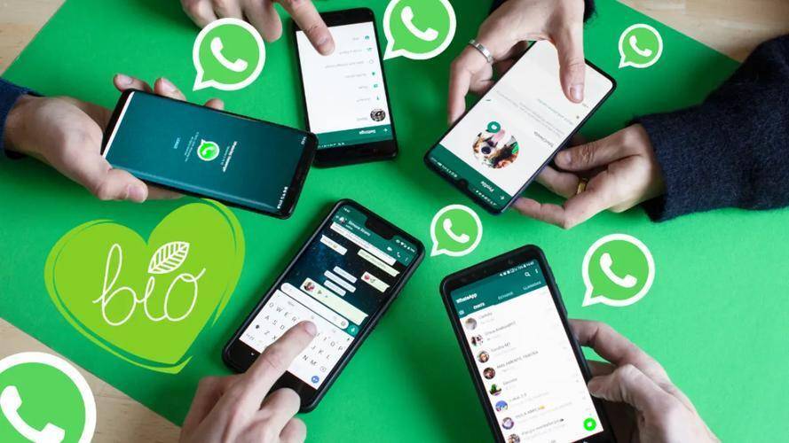 WhatsApp网页版，构建流畅稳定的国际沟通桥梁