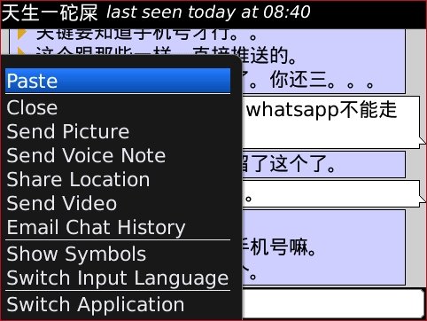 WhatsApp网页版消息实时推送技术解析与用户体验优化