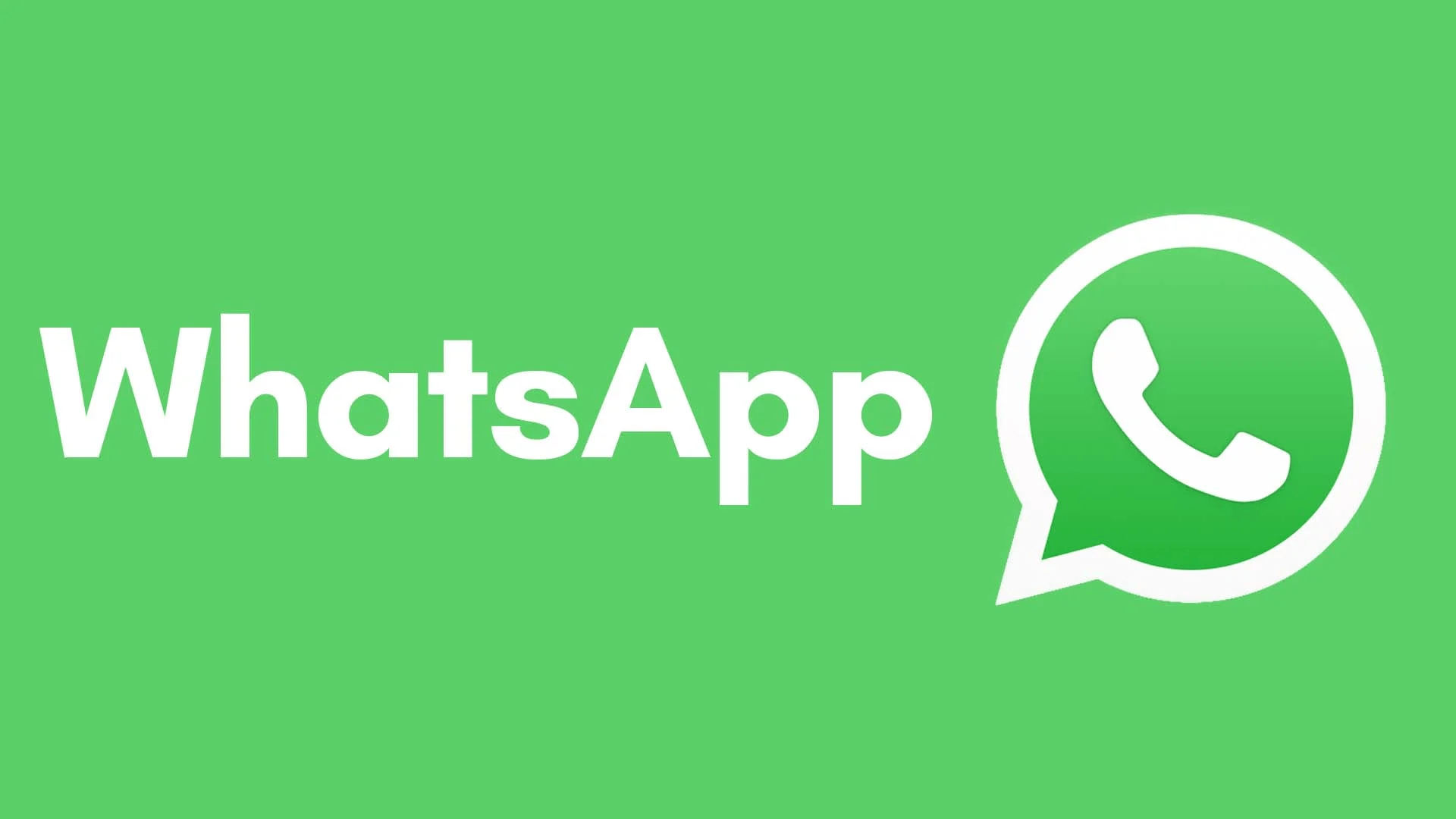 WhatsApp网页版多人群组资料共享新纪元，高效协作轻松启