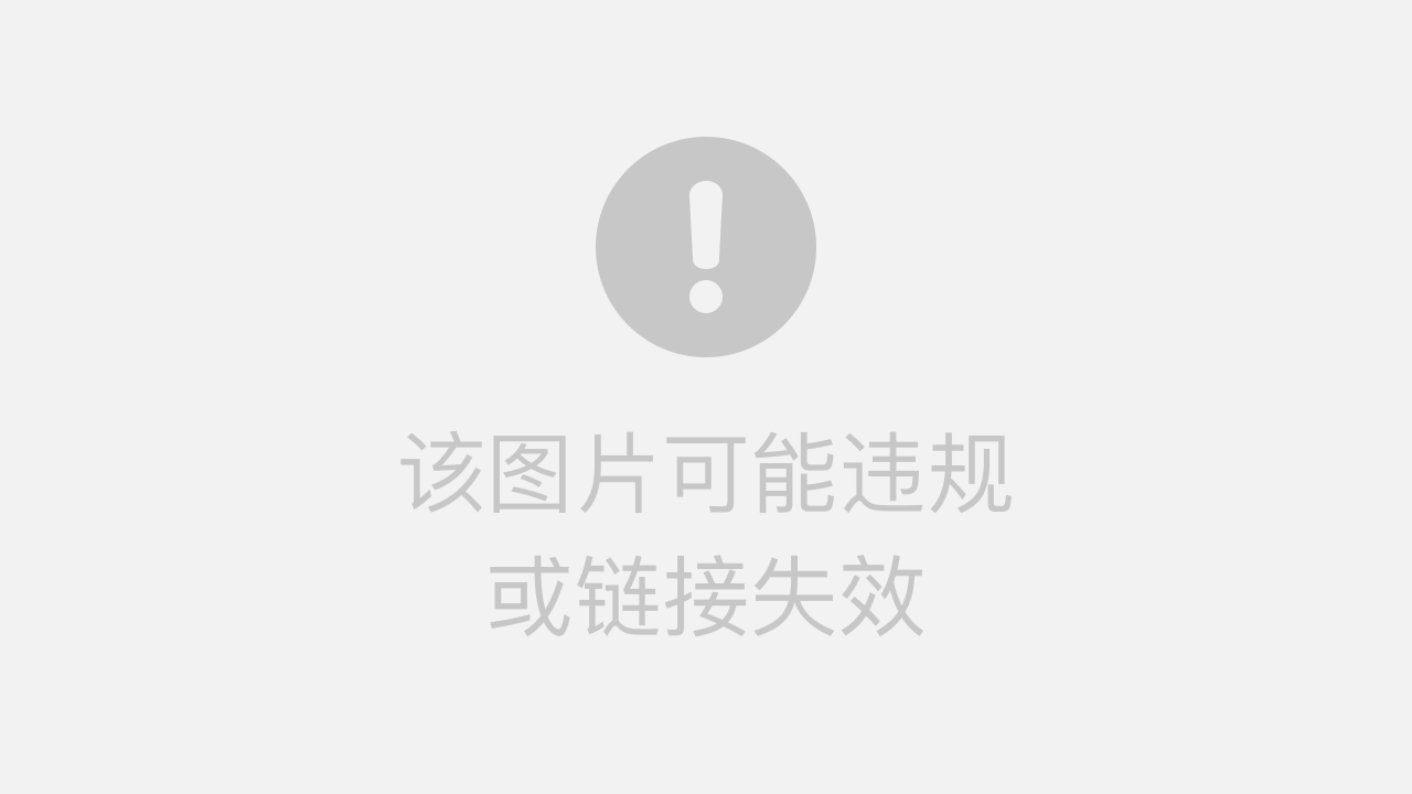 WhatsApp网页版语音视频通话高清流畅技术解析